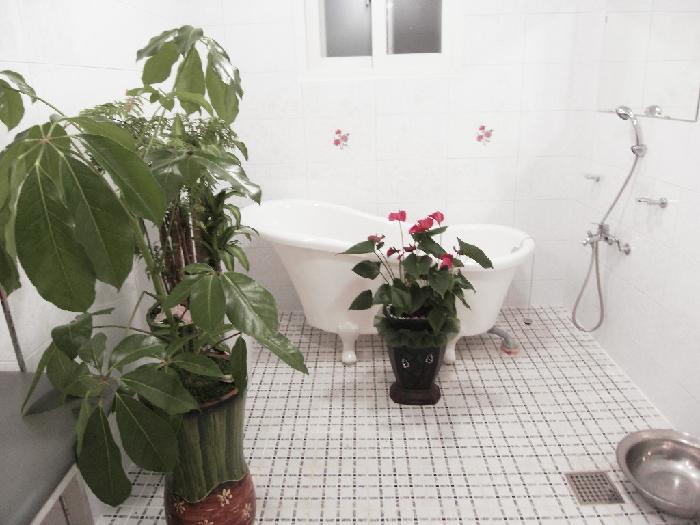 행복한둥지 이미지 9