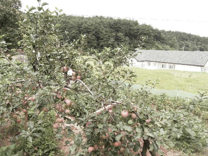 행복한둥지 이미지 21