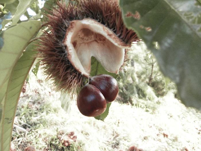 행복한둥지 이미지 20