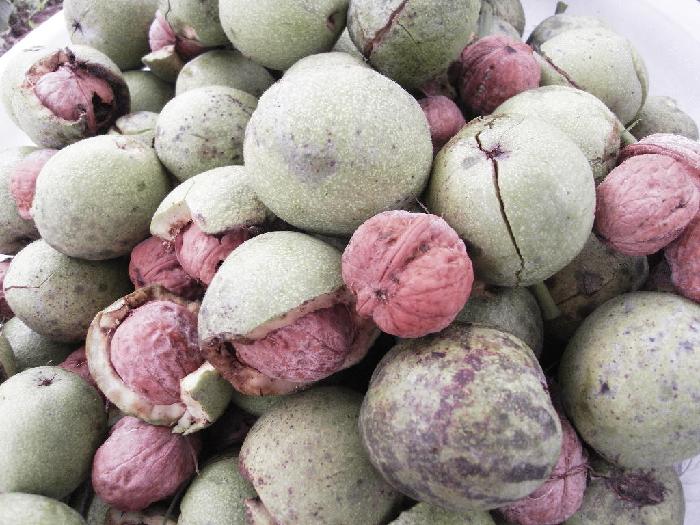 행복한둥지 이미지 19