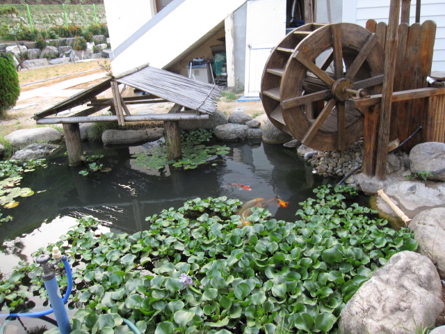 소망요양원 이미지 7