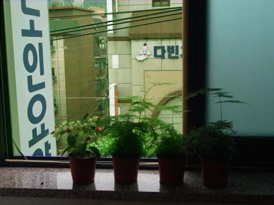 시온노인요양원 이미지 3