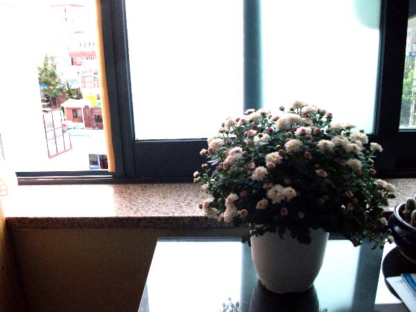 시온노인요양원 이미지 12