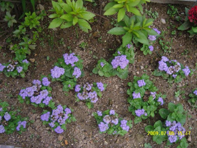 시온노인요양원 이미지 11