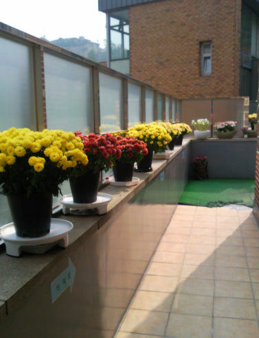 인자인케어센터 이미지 13