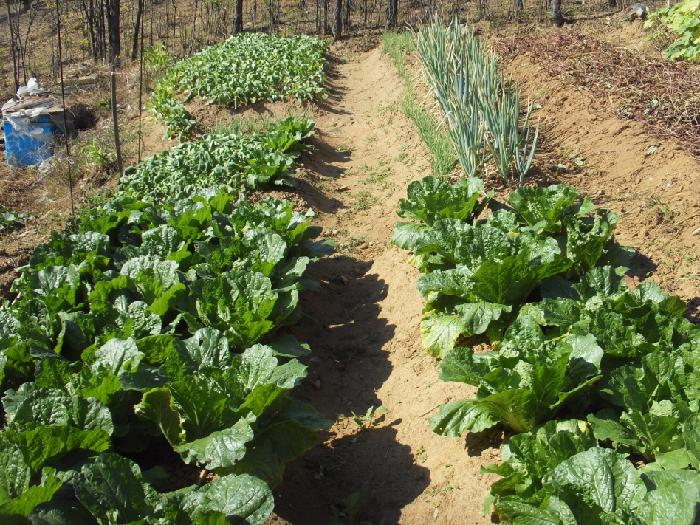 예스시니어 이미지 4