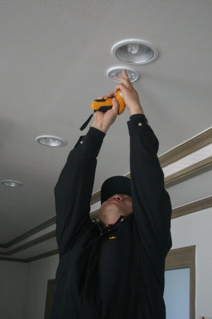 느티나무 이미지 16