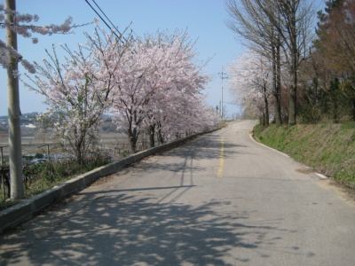 성민쉼터 이미지 19