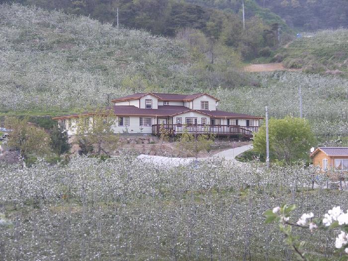 노인전문요양원사랑채