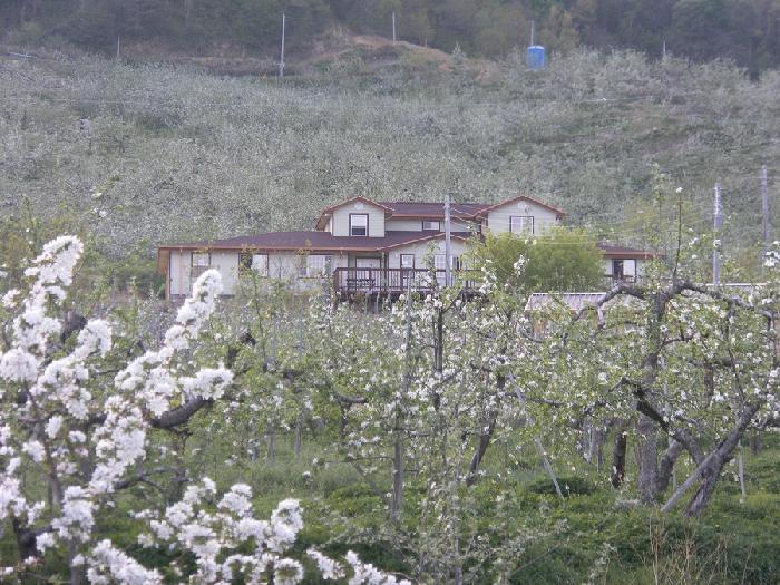 노인전문요양원사랑채 이미지 18