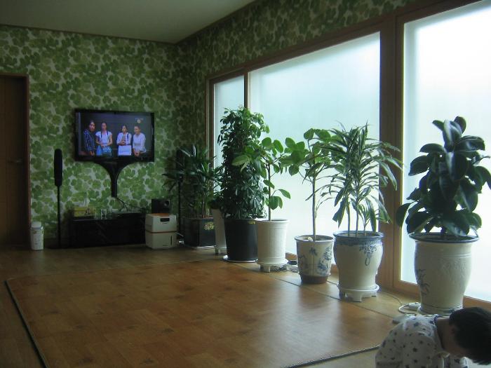 늘푸른요양원 이미지 7