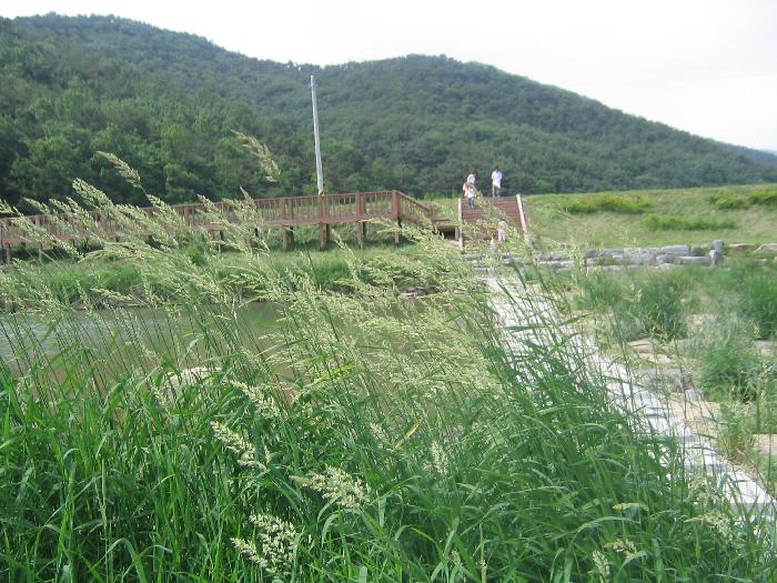 늘푸른요양원 이미지 17