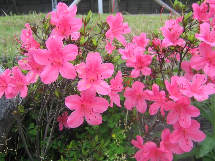 늘푸른요양원 이미지 12