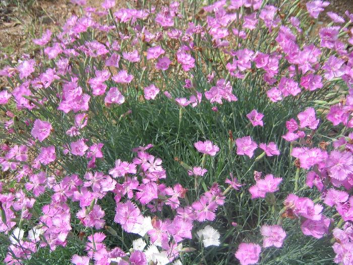 늘푸른요양원 이미지 21