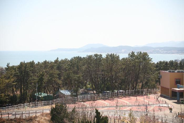 선양시니어빌리지