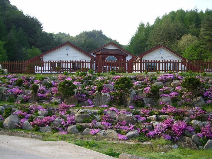 정선효도마을 이미지 16