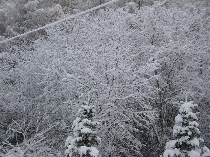 정선효도마을 이미지 13