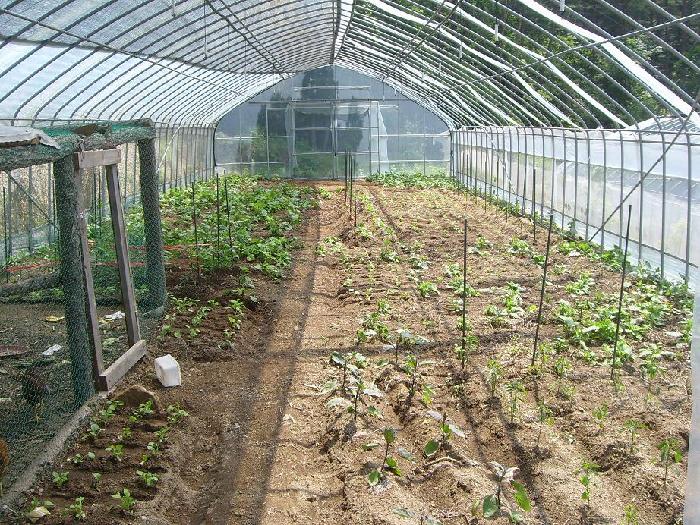 정선효도마을 이미지 33