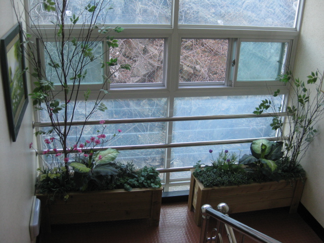 정혜원 진해요양원 이미지 34