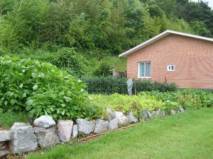 정다운집 이미지 7