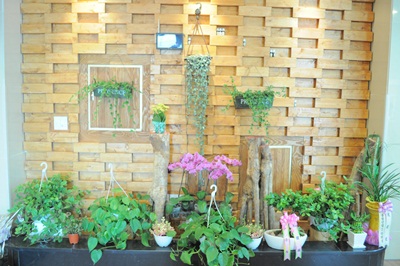 수 요양원2 이미지 5