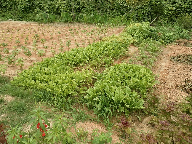 장수실버그린노인전문요양원 이미지 22