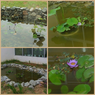 마산시니어카운티 이미지 30