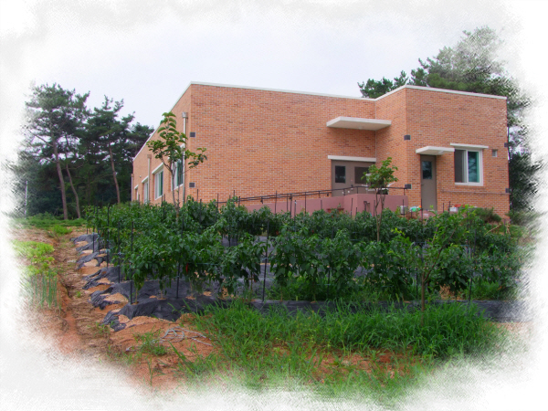 행복한 보금자리