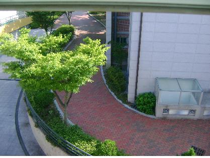 붓다의집 이미지 6