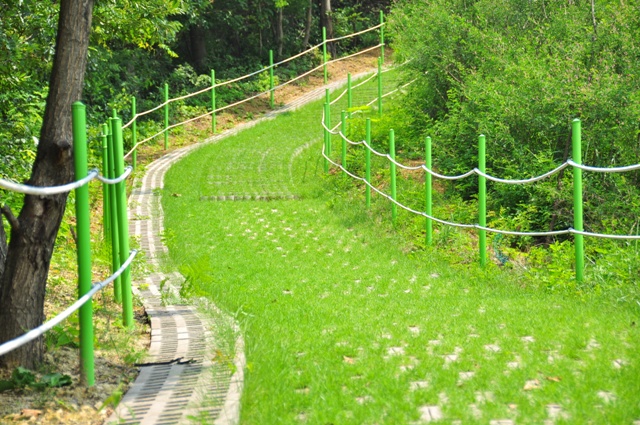 사랑드림 이미지 11