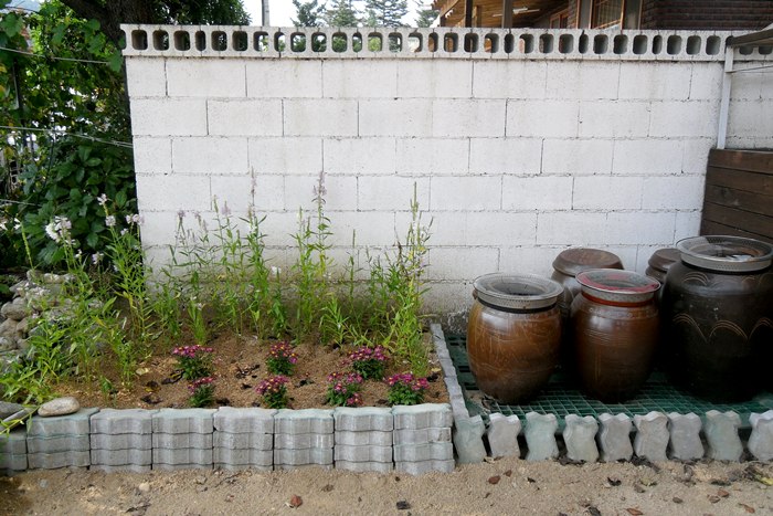 수성노인요양공동생활가정 이미지 11