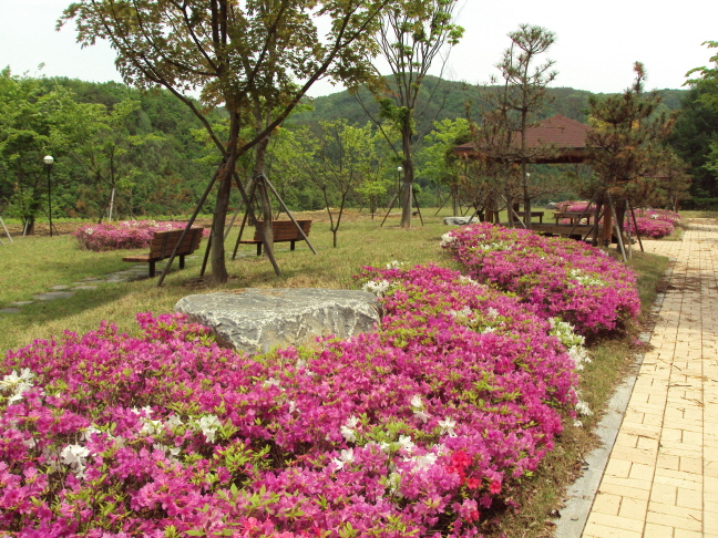 너브내노인전문요양원 이미지 42