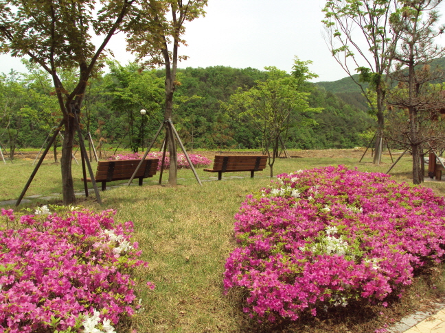 너브내노인전문요양원 이미지 41