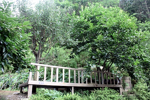 낮은둥지공동체 이미지 5