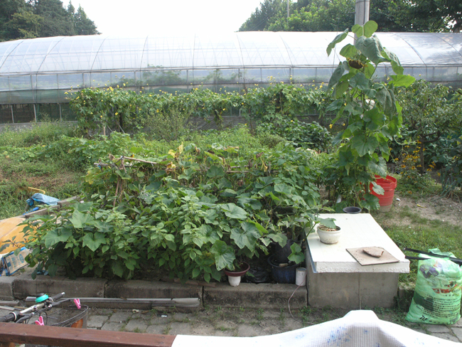 새빛사랑의집 이미지 8