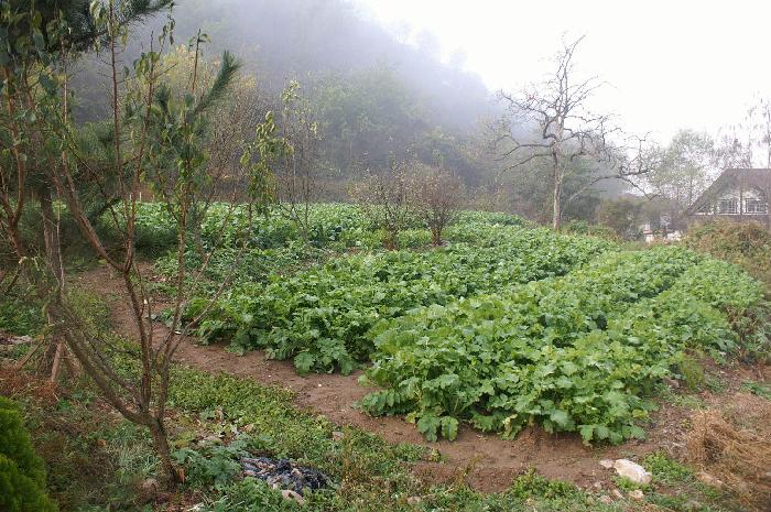 소망요양원 이미지 12