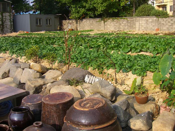 의료복지시설에덴원 이미지 5