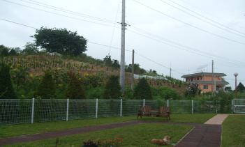 마리실버힐 이미지 3