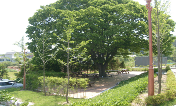 마리실버힐 이미지 2