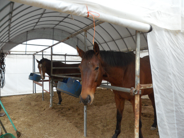 노인요양공동생활가정심청노인복지센터 이미지 13
