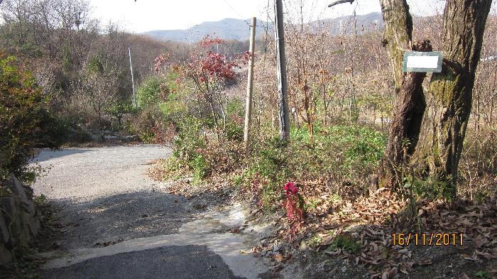 편안세상 이미지 5