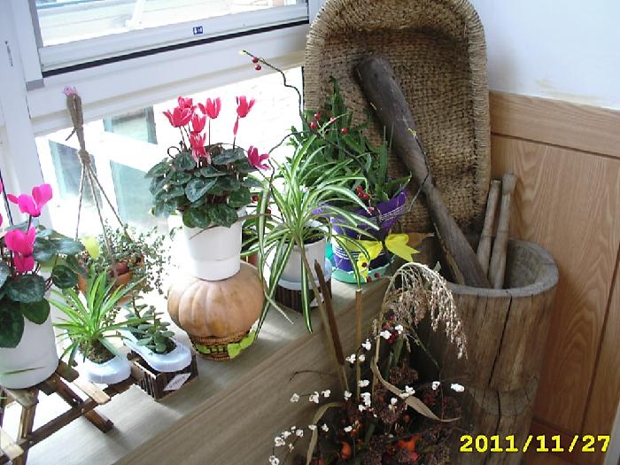 사랑의마을 노인요양공동생활가정 이미지 28