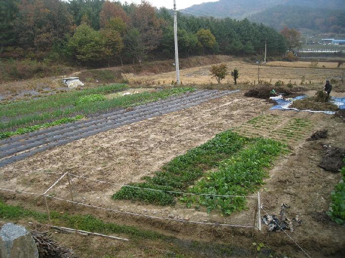 샬롬요양원 이미지 6