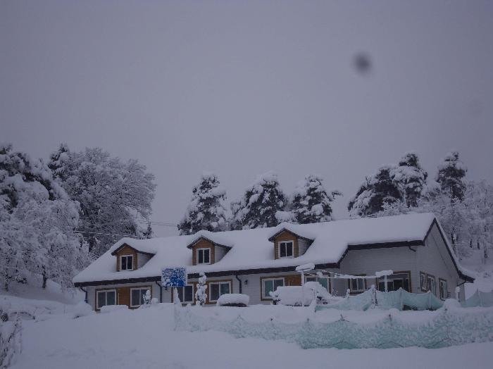 행복한둥지 이미지 24