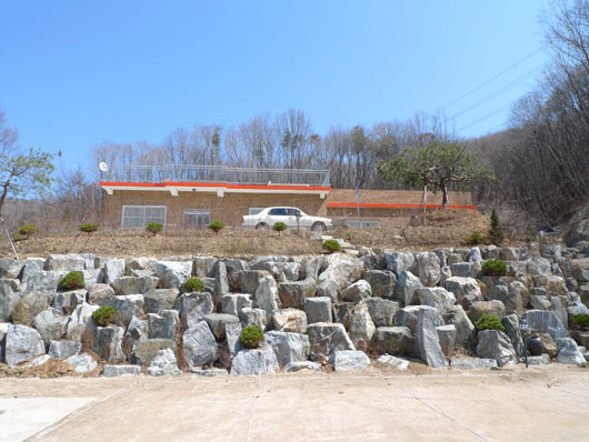 산호케어 이미지 12