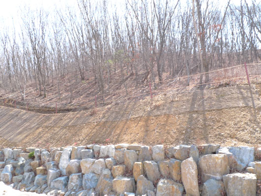 산호케어 이미지 8