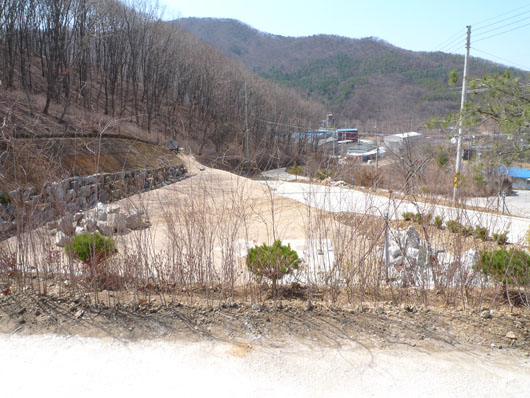 산호케어 이미지 6