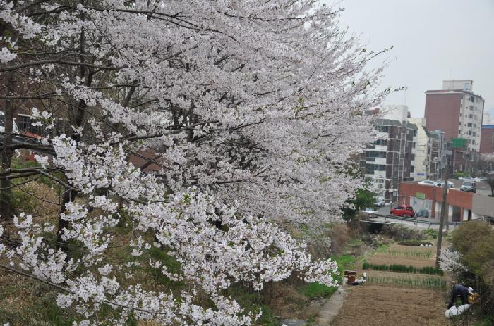 소답노인요양센터