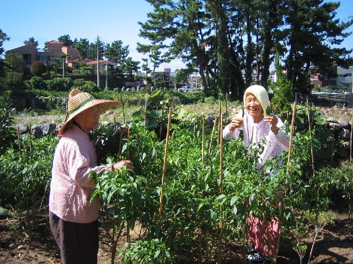 성심노인요양원 이미지 8
