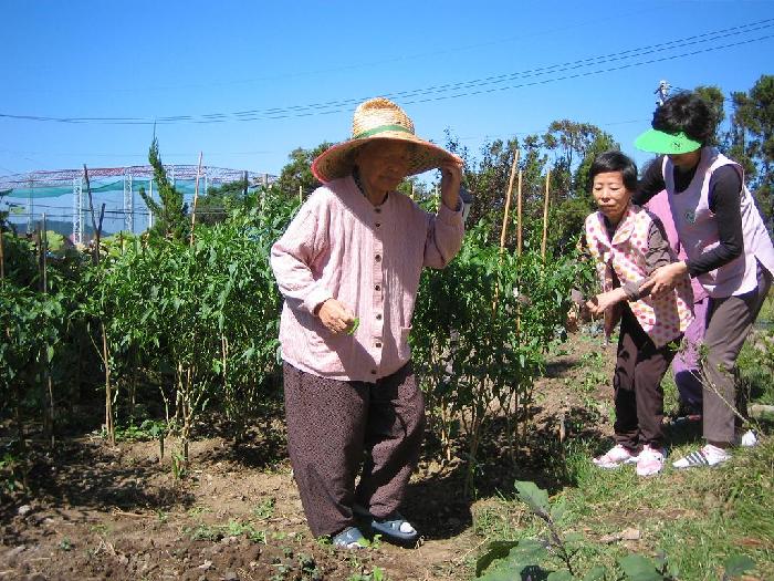 성심노인요양원 이미지 7